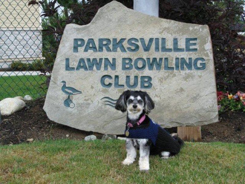 Parksville Lawn Bowling Club sign with dog in the front on green grass